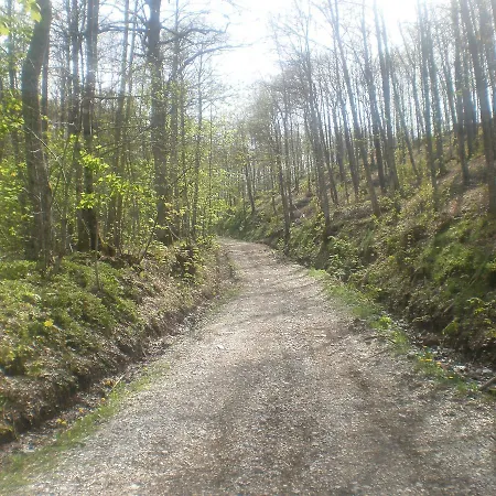 Amelia Dream View 3* Momigno